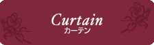 カーテン(Curtain)